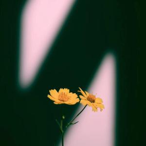 美女诱惑亚洲一区
