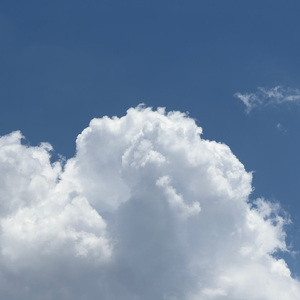 美女诱惑亚洲一区
